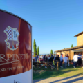 Carpineto Chianina in cantina