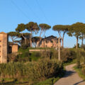 Tenuta di Fiorano - Campagne Romane